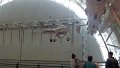 100_0150_edited-1