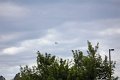 IMG_9342_edited-1