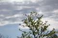 IMG_9348_edited-1