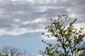 IMG_9349_edited-1