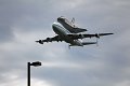 IMG_9389_edited-1