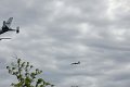 IMG_9417_edited-1