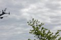 IMG_9419_edited-1