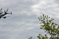 IMG_9420_edited-1