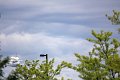 IMG_9455_edited-1