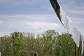IMG_9469_edited-1