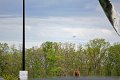 IMG_9474_edited-1