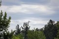 IMG_9482_edited-1
