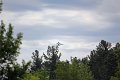 IMG_9483_edited-1