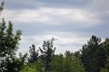 IMG_9484_edited-1