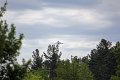 IMG_9485_edited-1
