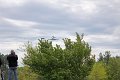 IMG_9497_edited-1