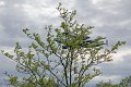 IMG_9520_edited-1