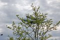 IMG_9521_edited-1
