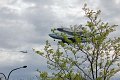 IMG_9522_edited-1