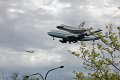 IMG_9524_edited-1