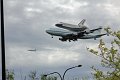 IMG_9525_edited-1