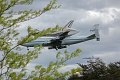 IMG_9536_edited-1