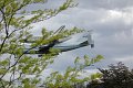 IMG_9537_edited-1