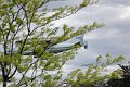 IMG_9538_edited-1