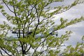IMG_9539_edited-1