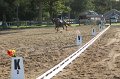 IMG_6983