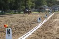 IMG_6984