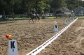 IMG_6985