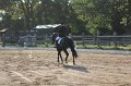 IMG_7001