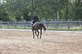 IMG_7062