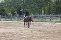 IMG_7063