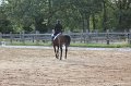IMG_7064