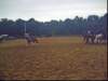 solipractice060309041_edited1_small.jpg