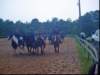 solipractice060309089_edited1_small.jpg