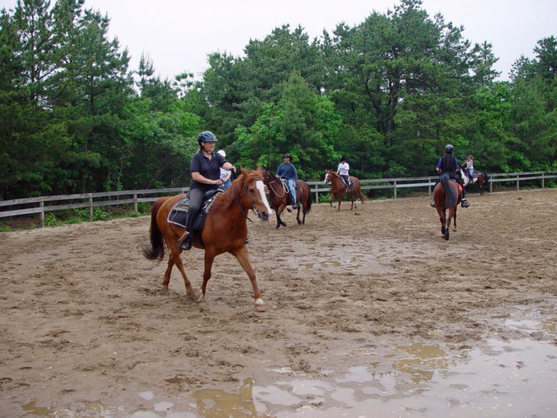 solipractice061009011_edited1.jpg
