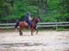 solipractice061009016_edited1_small.jpg
