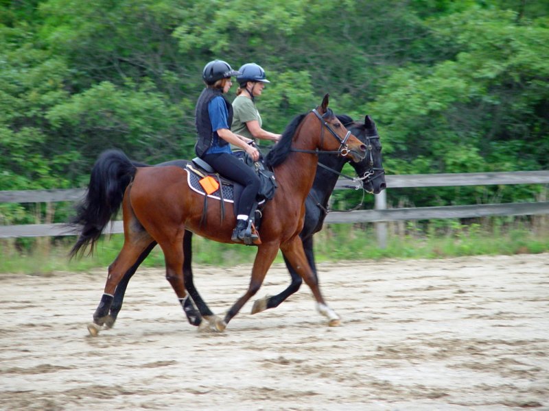 solipractice061009017_edited1.jpg