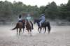 img_5666_small.jpg