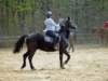 solipractice006_edited1_small.jpg
