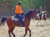 solipractice016_edited1_small.jpg