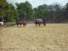 solipractice017_edited1_small.jpg