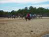 solipractice029_edited1_small.jpg
