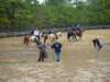 slipractice040109005_edited1_small.jpg