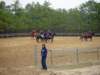 slipractice040109010_edited1_small.jpg