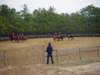 slipractice040109011_edited1_small.jpg
