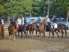 solipractice041509005_edited1_small.jpg