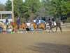 solipractice041509025_edited1_small.jpg