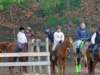 solipractice041509035_edited1_small.jpg