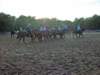 solipractice041509050_edited1_small.jpg
