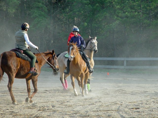 slipractice042909010_edited1.jpg